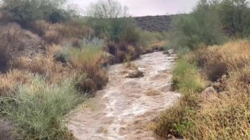 Arizona'da sel 4 can aldı!