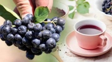 Aronya &ccedil;ayı faydaları nelerdir? Aronya &ccedil;ayı aktarlarda bulunur mu?