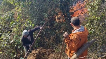 Artvin’de örtü yangını ormana yayıldı