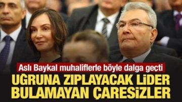 Aslı Baykal muhaliflerle böyle dalga geçti: Uğruna zıplayacak lider bulamayan çaresizler