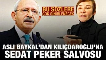 Aslı Baykal'dan Kılı&ccedil;daroğlu'na Sedat Peker salvosu