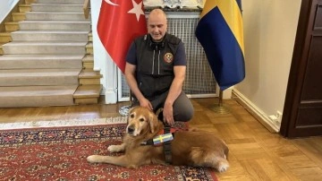 Asrın felaketinde 18 kişiyi kurtaran köpek hayatını kaybetti