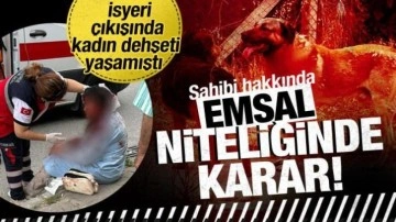Ataşehir'de kadına saldıran k&ouml;peğin sahibi tutuklandı