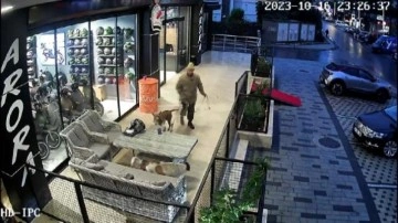 Avcılar'da pitbullu bı&ccedil;aklı saldırgana g&ouml;zaltı