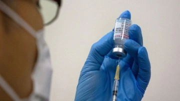 Avrupa Birliği maymun &ccedil;i&ccedil;eğine karşı aşı alımına başladı