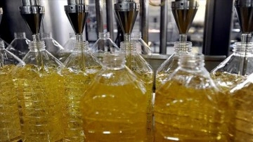 Ayçiçeği yağında tarihi başarı! Türkiye 1 milyar dolarlık hedefe kilitlendi