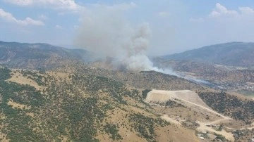 Aydın'da orman yangını hızla ilerliyor: Bir mahalle boşaltıldı