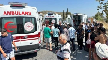 Aydın'da tur minibüsü devrildi: 7 turist yaralandı
