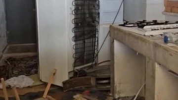 Ayılar belediye başkanına da torpil yapmadı! Evini talan ettiler