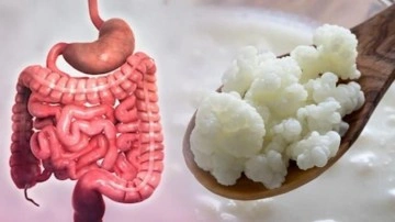 Bağırsaklara ne iyi gelir? Mide ve bağırsakları rahatlatan yiyecek ve i&ccedil;ecekler...