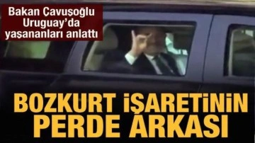Bakan &Ccedil;avuşoğlu'ndan 'Bozkurt' işareti a&ccedil;ıklaması