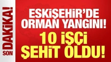 Bakan Yumaklı'dan açıklama: 10 orman işçisi şehit oldu! Peş peşe taziye mesajları...