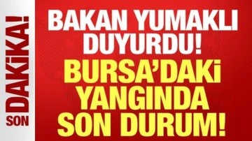 Bakan Yumaklı duyurdu: Bursa'daki yangın kontrol altına alındı!