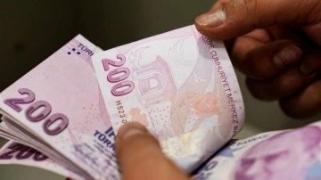 Bakanlık duyurdu! O mahsulü üreten çiftçilere müjde: Hesaplara yatırıldı