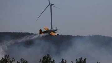 Bakanlıktan, Çanakkale'de yangında yanan ormanlık alanla ilgili açıklama geldi!
