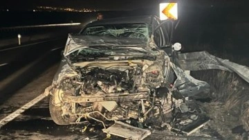 Başıboş sokak k&ouml;peği kazaya neden oldu: 1 yaralı