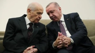 Başkan Erdoğan, Devlet Bah&ccedil;eli ile g&ouml;r&uuml;şecek