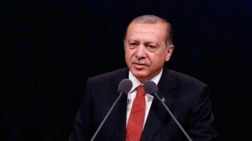 Başkan Erdoğan'dan BM G&uuml;n&uuml; ve BM Teşkilatı'nın kuruluşunun 77. yıl d&ouml;n&uuml;m&uuml; mesajı