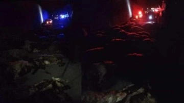 Batman'da feci kaza! Akaryakıt y&uuml;kl&uuml; tanker 70 koyunu telef etti