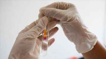 Beyin kanserine karşı geliştirilen yeni yöntem heyecan yarattı