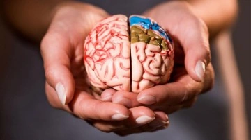 Beyninizi 8 yıl birden gen&ccedil;leştiriyor! Şartlara sahip olanlar yaşadı