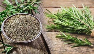 Biberiye kokusu hafızayı g&uuml;&ccedil;lendiriyor