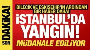 Bilecik'te yangın yeniden alevlendi! Bir haber de İstanbul'dan: Müdahale ediliyor!