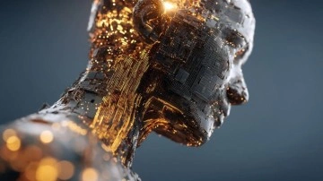 Bilim insanları: Erkek ve kadın beyinlerinde yüzlerce gen farklı çalışıyor