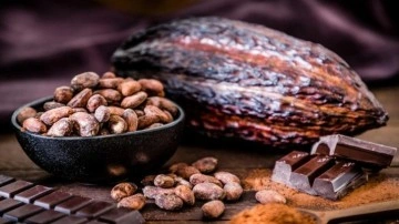 Bilim insanları mükemmel çikolatanın formülünü buldu