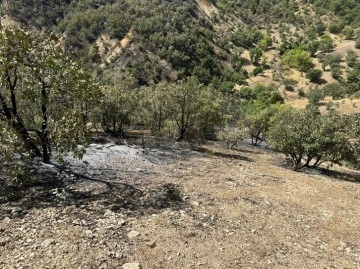 Bing&ouml;l'deki orman yangını kontrol altına alındı