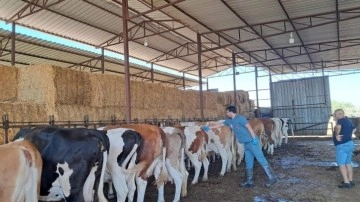 Bir ilde 12 mahalle karantinaya alındı!