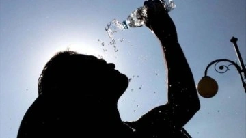 Bir kent adeta kavruldu: 55 dereceyi gördüler!