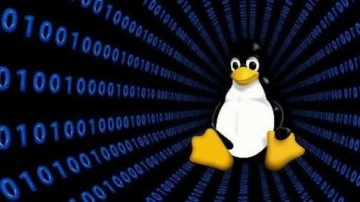 Bir&ccedil;ok sekt&ouml;r tehlikede! Linux'larda Symbiote tehdidi