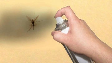 Böcek ilaçlarının satışında yeni düzenleme: Reçetesiz ve internetten satışı yasaklandı