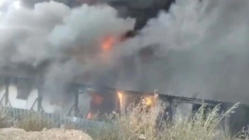Bodrum'da korkutan yangın