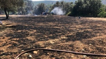 Bodrum'da zeytinlikte çıkan yangın ormanlık alana sıçramadan söndürüldü