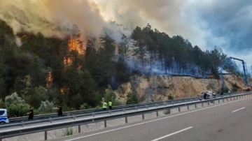 Bolu'da orman yangını başladı: Havadan ve karadan müdahale sürüyor