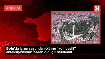 Bolu'da i&ccedil;me suyundan &ouml;l&uuml;me "koli basili" enfeksiyonunun neden olduğu belirlendi