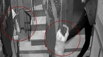 Böyle baba olmaz olsun! Çocuklarını darp etti, soyguna götürdü