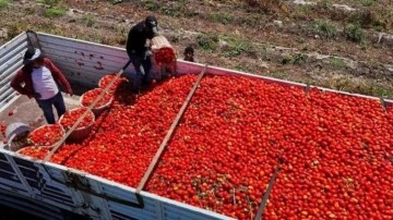 Bu açgözlüler bizi bitirecek! Maliyeti 6 TL'den 3 TL'ye düştü ama 50 TL'ye satıyorlar