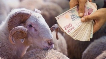 Bu kişiler Kurban Bayramı ikramiyesi alamayacak: Hemen kontrol edin!