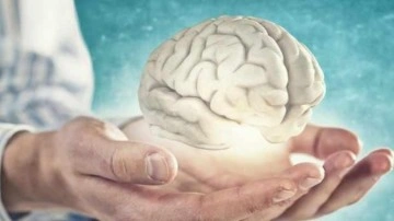 Bu test alzheimer riskini ortaya &ccedil;ıkarıyor! 'Evet' ve 'Hayır' cevaplarıyla beyin