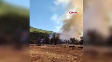 Burdur'da orman yangını