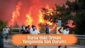 Bursa'daki orman yangınında son durum! 3 köy tahliye edildi, hasar gün ağarınca ortaya çıktı