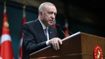 Büyükelçiler, Başkan Erdoğan'a güven mektubu sunacak