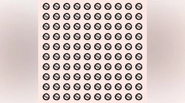 B&uuml;y&uuml;te&ccedil; isteyen zeka testi: Resimdeki tek topu 9 saniyede bulan şahin g&ouml;zl&uuml;d&uuml;r!