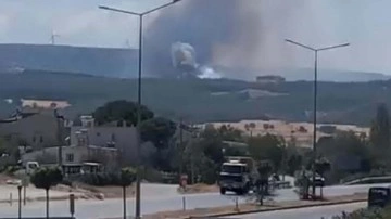 Çanakkale’de orman yangını