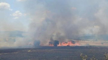 Çanakkale'de tarım arazisinde yangın: Müdahale sürüyor