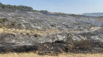 Çanakkale orman yangını kontrol altında