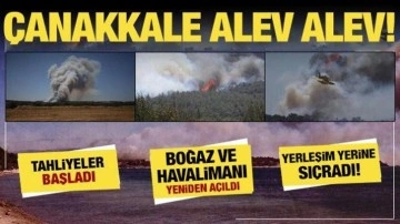 Çanakkale ve Edirne'deki yangınlar büyüdü! Alevler hızla büyüyor